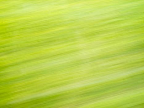 Background texture abstract of blur grass fast moved.
