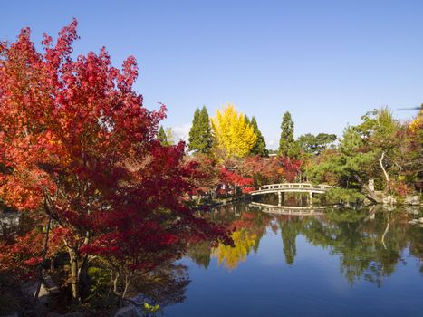 Japanese garden of Eikando Zenrinji temple in autumn, Kyoto, Japan.