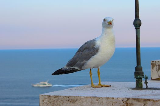 View of the Mediterranean Sea and a luxury yacht in the background