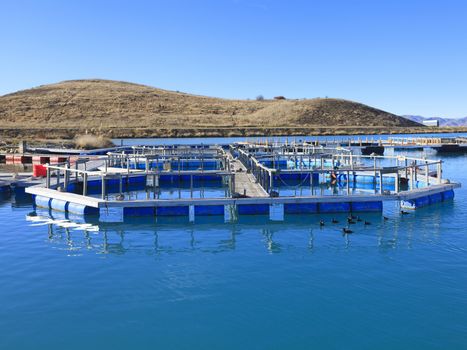 Salmon Fish farm floating on the glacial waters of Wairepo Arm, Twizel, South Island, New Zealand.