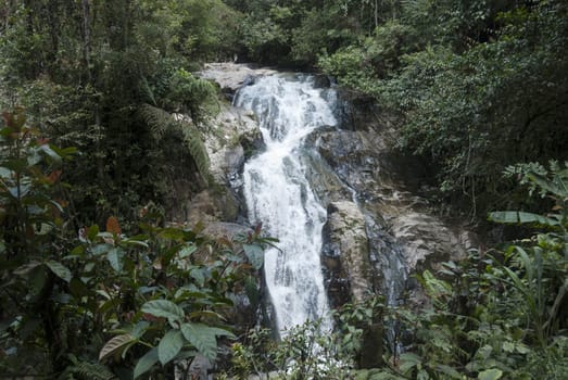 tropical waterfall in Malasia rain forest