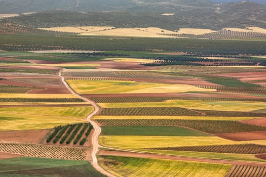 Color fields in Castile-La Mancha, Spain