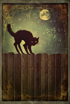 Black cat on old wood fence at  night with vintage look