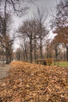 Belvedere park near palace