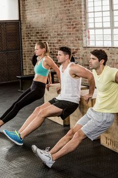 People holding ply box and exercising