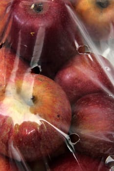 apples preserved inside cellophane bags for food