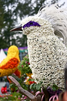 Biird with flower decoration and blur background