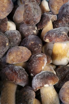 assorted frozen mushrooms 