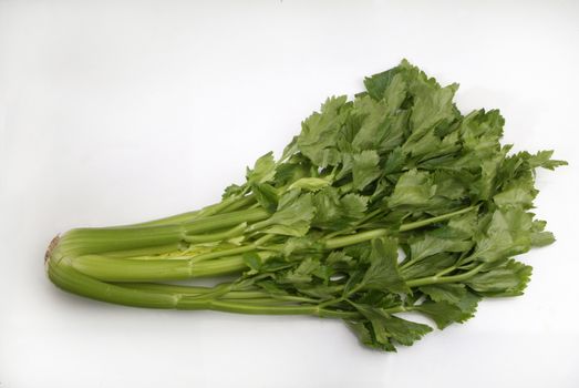 stalk of celery on white background