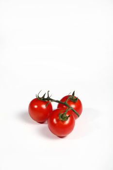 three cherry tomatoes on white background