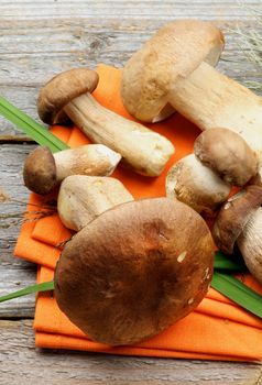 Heap of Fresh Raw Boletus Mushrooms with Stems and Grass on Orange Napkin closeup on Rustic Wooden background