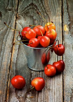 Sweet Maraschino Cherries in Tin Bucket on Rustic Wooden background