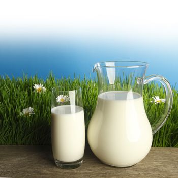 Glass of milk and jar on fresh grass meadow with chamomiles