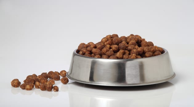 bowl dogs food white background