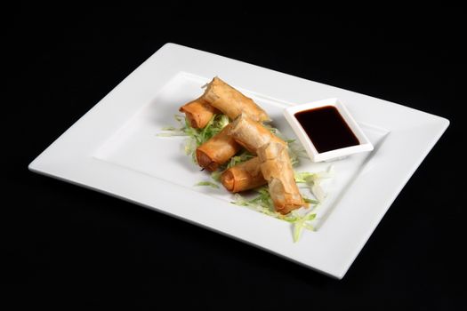 roulade with vegetables and sauce in white plate on a black background