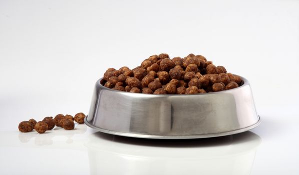 bowl dogs food white background