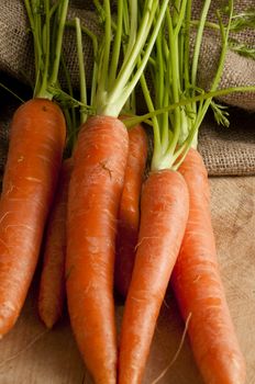 carrots that are out of the jute bag ready to be cleaned