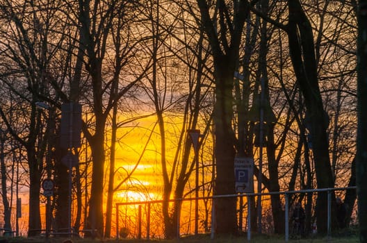 Beautiful sunset behind a forest.