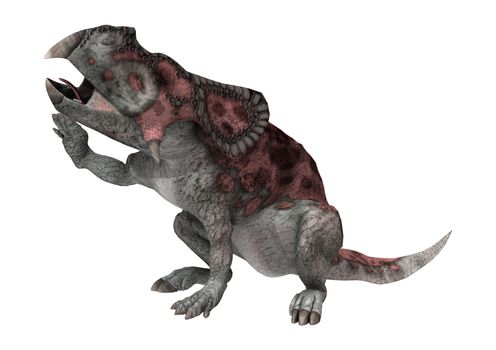 3D digital render of a dinosaur protoceratops isolated on white background