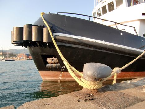 ship anchored at the port of La Spezia