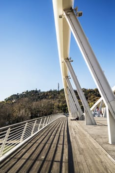 Ponte della Musica on the Tiber river in Rome, Italy