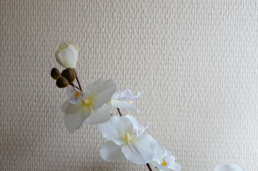 Fake home plant with white flowers against a wall