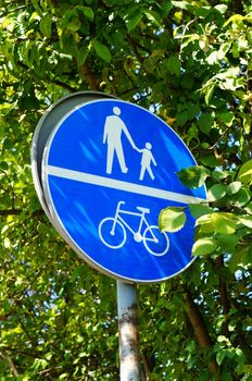 Pedestrian and bicycle sign with green tree leaves