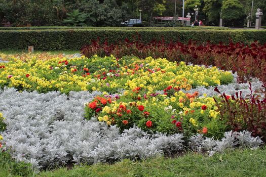 Flower bed. Natural flower landscaping.