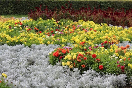 Flower bed. Natural flower landscaping.