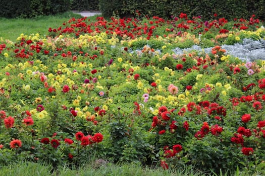 Flower bed. Natural flower landscaping.