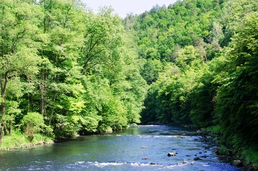 river Dyje, Czech republic