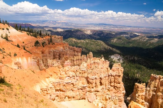 Landscape of Bryce Canyon National Park in Summer