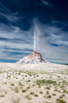 White Dome Geyser eruption on perfect Summer day in Yellowstone National Park, Wyoming