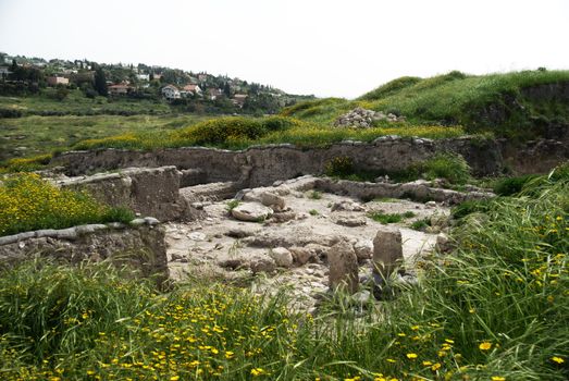 Archeology and history national park with spring landscape in Israel