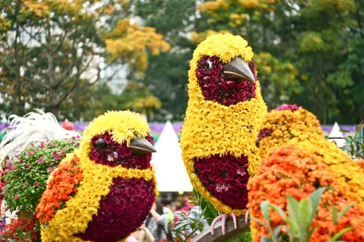 Three birds (parrot) with flower decoration and blur background
