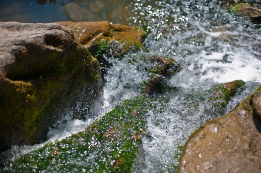 Mountain creek in summer siberian forest