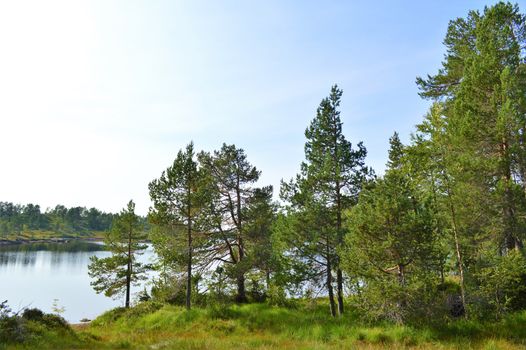 Beautiful countryside from Norway's west coast, close to the town of Molde.