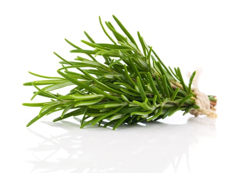 tied fresh rosemary on a white background