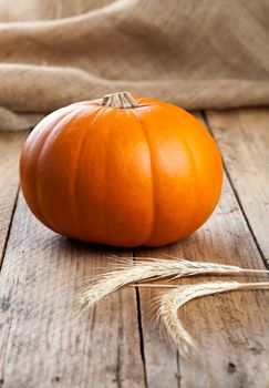 Autumn pumpkins on wooden board