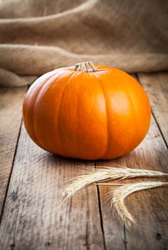 Autumn pumpkins on wooden board