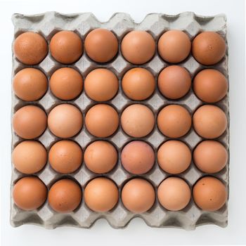 eggs in carton package isolated on white