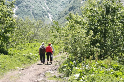 Group of Tourists going for track in summer forest