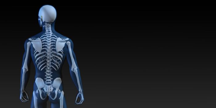 Transparent Human with Bone Structure in Movement