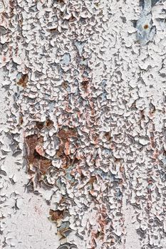 Grunge White Background Cement Old Texture Wall