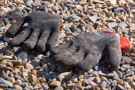 Gloves for working in the garden after planting