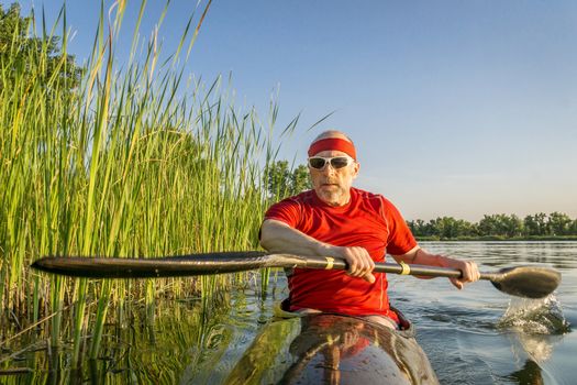 Senior male paddler is paddling a racing sea kayak along shore covered by reed