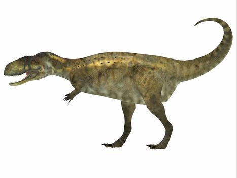 Abelisaurus was a carnivorous theropod dinosaur that lived in the Cretaceous Period of Argentina.