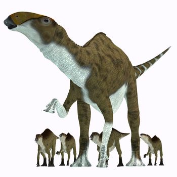 Brachylophosaurus was a herbivorous hadrosaur dinosaur that lived during the Cretaceous Period of Alberta, Canada and Montana, North America.