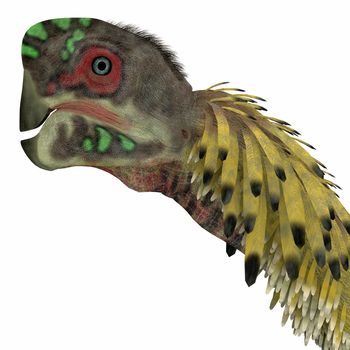 Citipati was a omnivorous theropod dinosaur that lived in Mongolia during the Cretaceous Period.