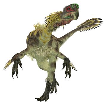 Citipati was a omnivorous theropod dinosaur that lived in Mongolia during the Cretaceous Period.